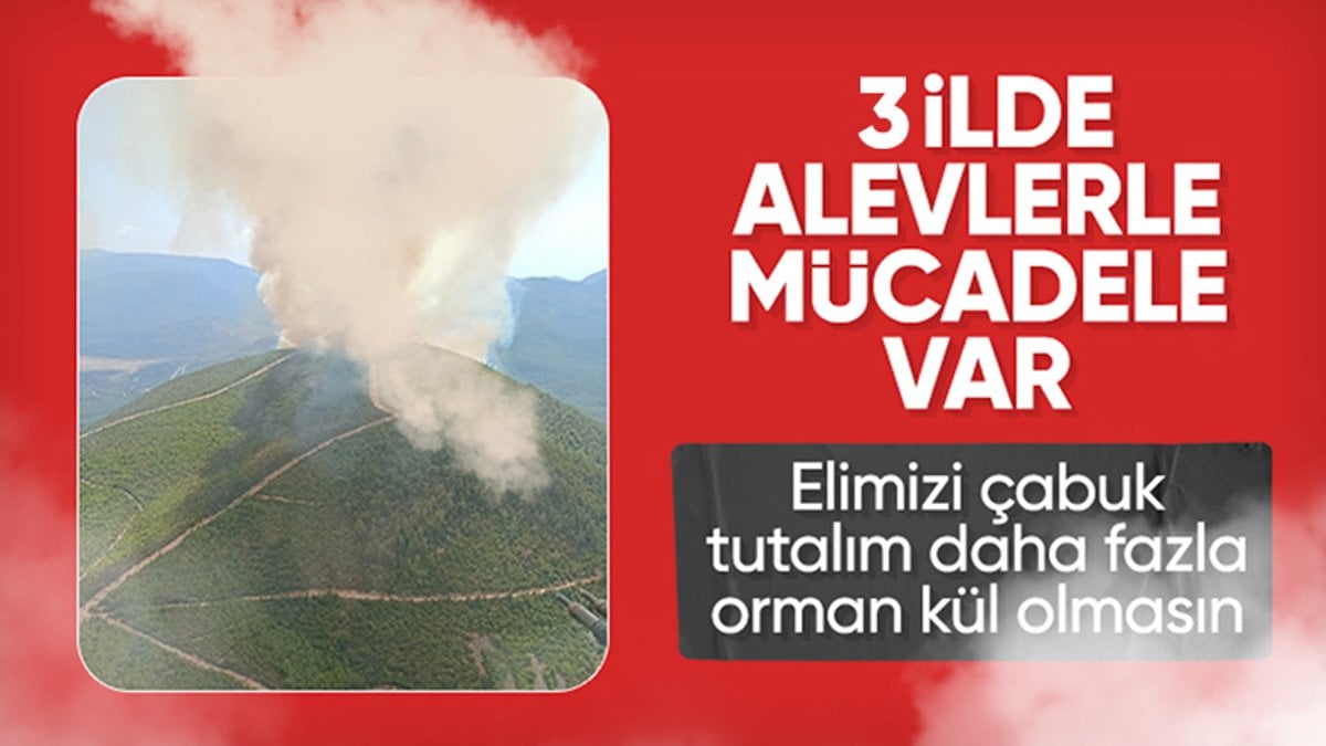 Türkiye’nin 3 ilinde yangınla mücadele